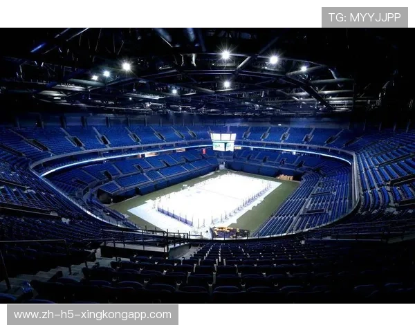 场馆升级:智能化改造提升球迷观赛体验与服务效率,体育场馆智能化解决方案